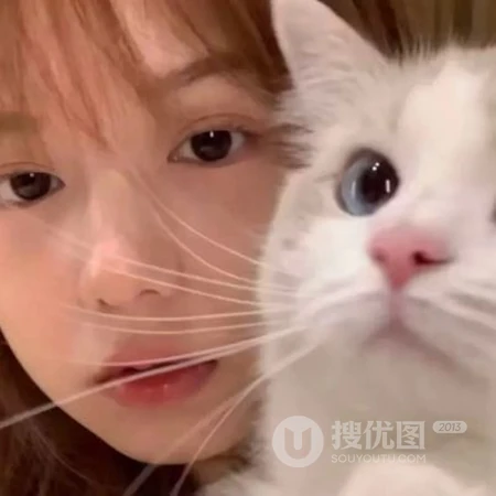 和宠物猫，宠物狗狗一起上镜的可爱女生真人2021网图头像图片