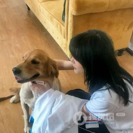 和宠物猫，宠物狗狗一起上镜的可爱女生真人2021网图头像图片