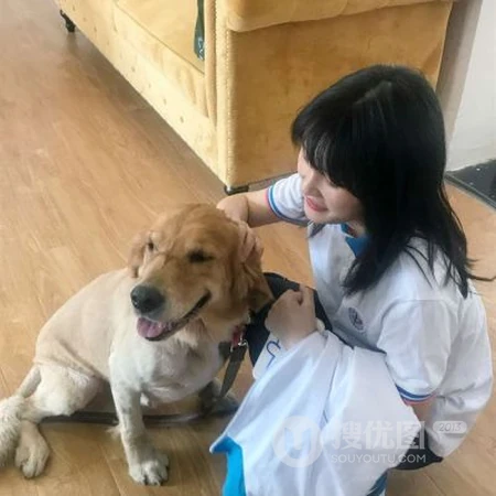 和宠物猫，宠物狗狗一起上镜的可爱女生真人2021网图头像图片