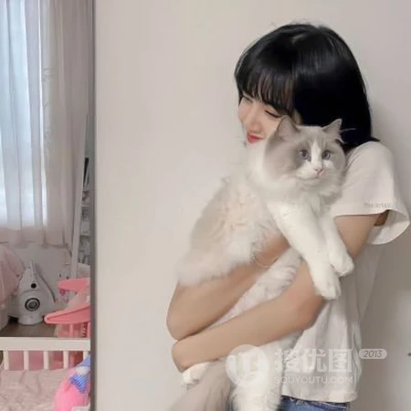和宠物猫，宠物狗狗一起上镜的可爱女生真人2021网图头像图片
