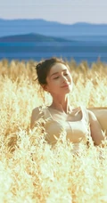 Angelababy身着麦色连衣裙在麦田中清新清新写真花絮美照
