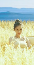 Angelababy身着麦色连衣裙在麦田中清新清新写真花絮美照