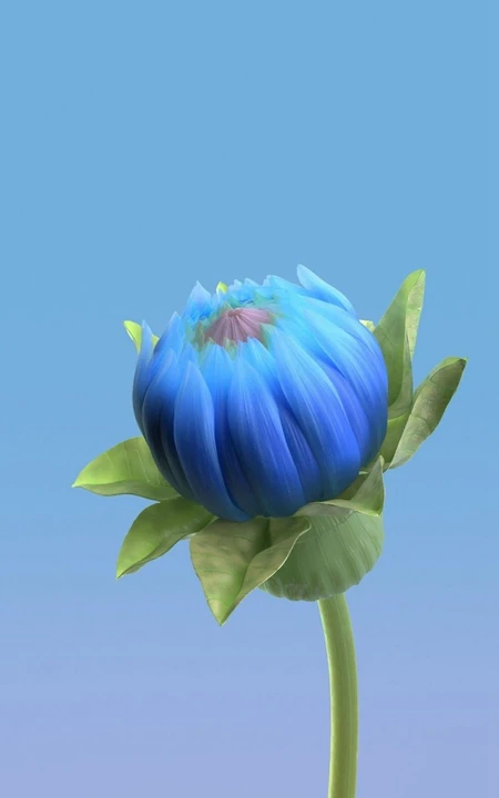 一枝蓝色的花蕾