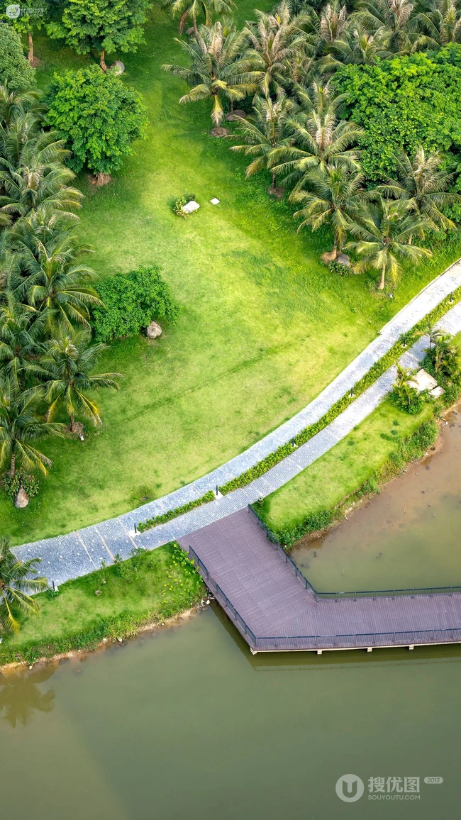 高空俯瞰下的海边小岛，木栈道，棕榈树 草地 唯美景色手机壁纸图片