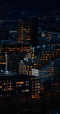万家灯火灿烂的城市夜景，以及标建筑物唯美高清手机壁纸图片