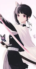 才能出众，沉默寡言，日本漫画《鬼灭之刃》栗花落香奈乎高清插画图片欣赏
