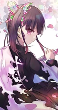 才能出众，沉默寡言，日本漫画《鬼灭之刃》栗花落香奈乎高清插画图片欣赏
