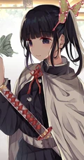 才能出众，沉默寡言，日本漫画《鬼灭之刃》栗花落香奈乎高清插画图片欣赏