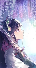 才能出众，沉默寡言，日本漫画《鬼灭之刃》栗花落香奈乎高清插画图片欣赏