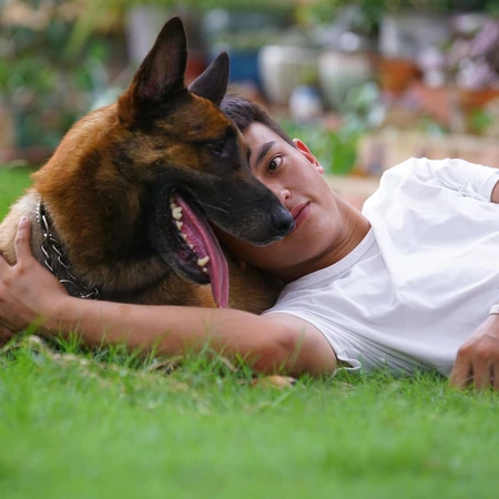 马犬（马里努阿犬），爆发力惊人的马犬高清图片