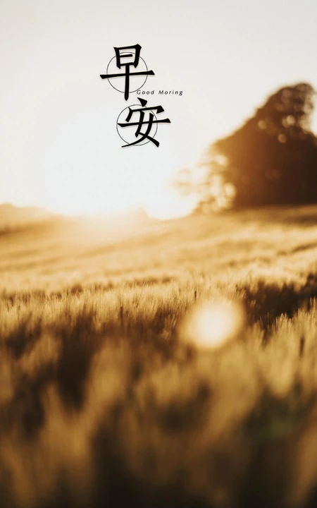早安文字图片，唯美清新的绿叶，草地，海边，气球等早安手机壁纸图片