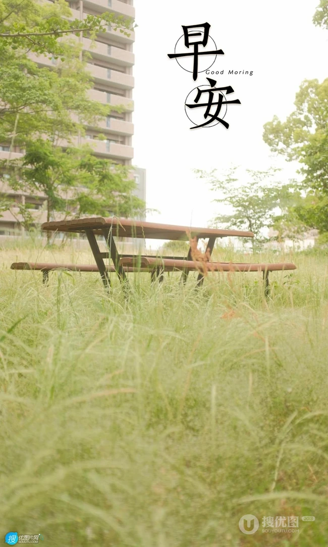 早安文字图片，唯美清新的绿叶，草地，海边，气球等早安手机壁纸图片
