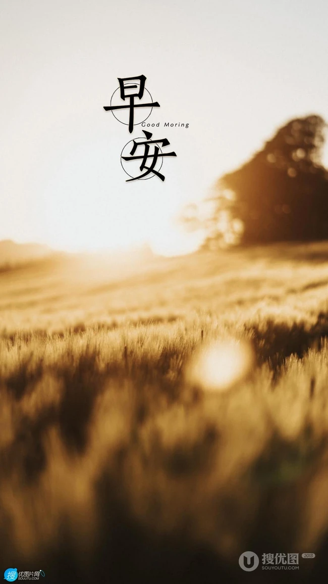 早安文字图片，唯美清新的绿叶，草地，海边，气球等早安手机壁纸图片