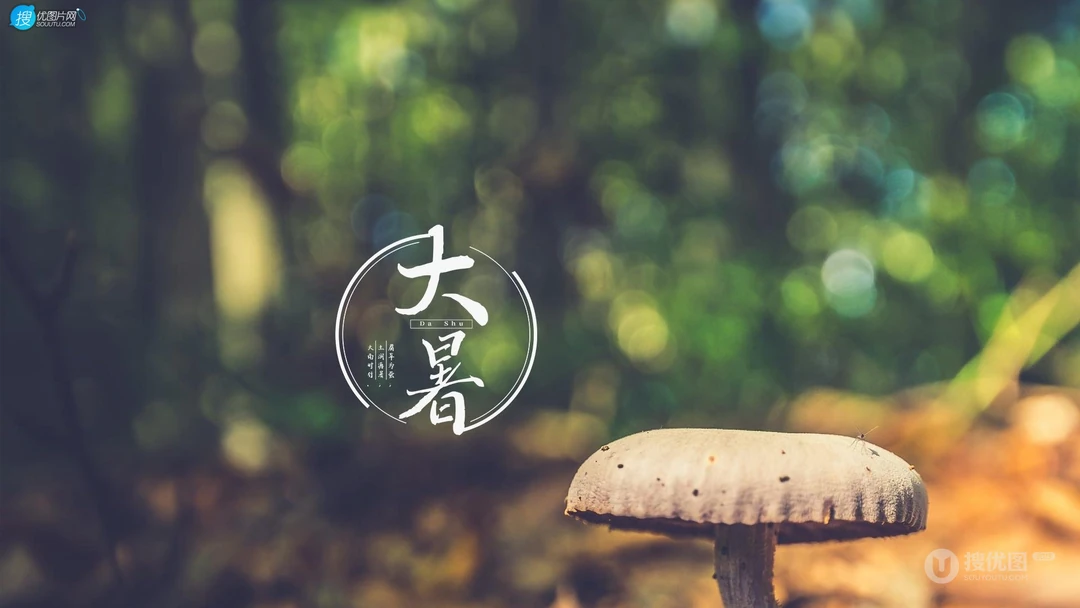 大暑节气壁纸，以小清新绿色养眼的蘑菇，绿叶，昆虫为背景的大暑文字壁纸