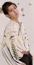 被蝴蝶环绕的少年，王源清新帅气白色印花衬衫穿着写真图片