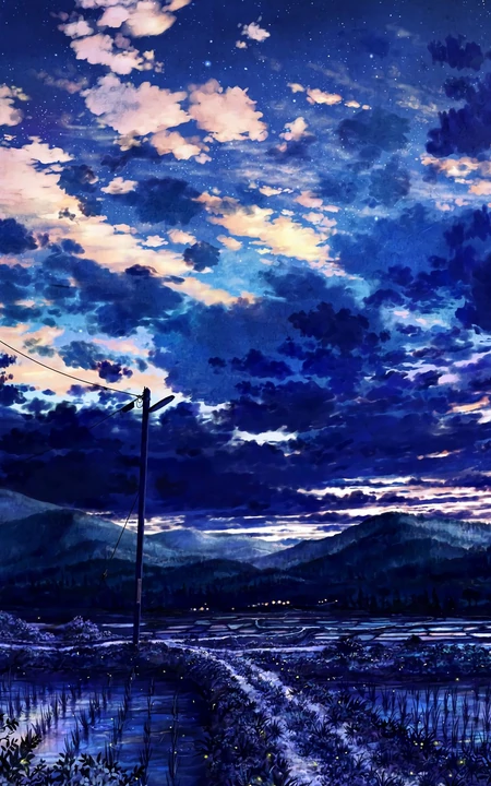 快入夜的黄昏，插满秧苗的稻田和孤零零的电线杆唯美二次元场景插画壁纸
