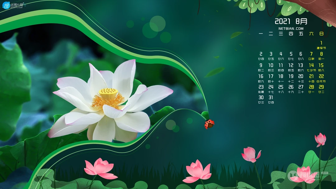 2021年8月日历壁纸，一看就舒心的荷花，荷叶，瓢虫，荷塘唯美8月日历图片