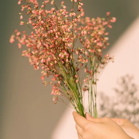 唯美花朵，干花，花束静物背景摄影图片，精致的生活需要花花草草的点缀！