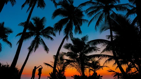 傍晚，夕阳下，一对在海边椰树林下跳舞的浪漫情侣身影唯美桌面壁纸