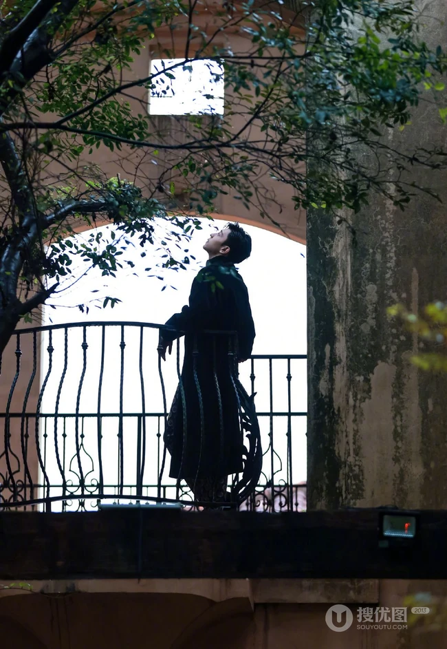 邓伦秋意写真，置身雨后庭院，与猫为伴，温暖复古气息动人