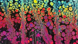 多彩抽象绘画，油画，艺术绘画高清2k电脑壁纸套图