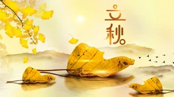 立秋壁纸，以金黄的树叶，落叶为背景的萧瑟立秋节气壁纸图片