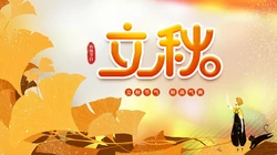 立秋壁纸，以金黄的树叶，落叶为背景的萧瑟立秋节气壁纸图片