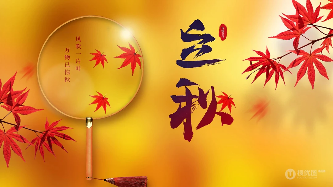 立秋壁纸，以金黄的树叶，落叶为背景的萧瑟立秋节气壁纸图片