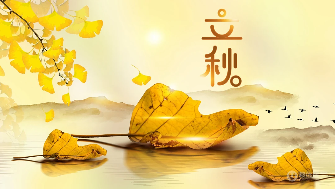 立秋壁纸，以金黄的树叶，落叶为背景的萧瑟立秋节气壁纸图片