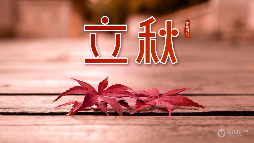 立秋壁纸，以金黄的树叶，落叶为背景的萧瑟立秋节气壁纸图片
