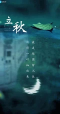 夏意悠未尽，忽觉秋已来！树叶，落叶，枯叶为背景的唯美立秋节气手机壁纸