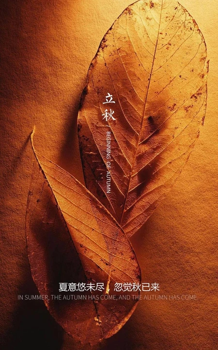 夏意悠未尽，忽觉秋已来！树叶，落叶，枯叶为背景的唯美立秋节气手机壁纸