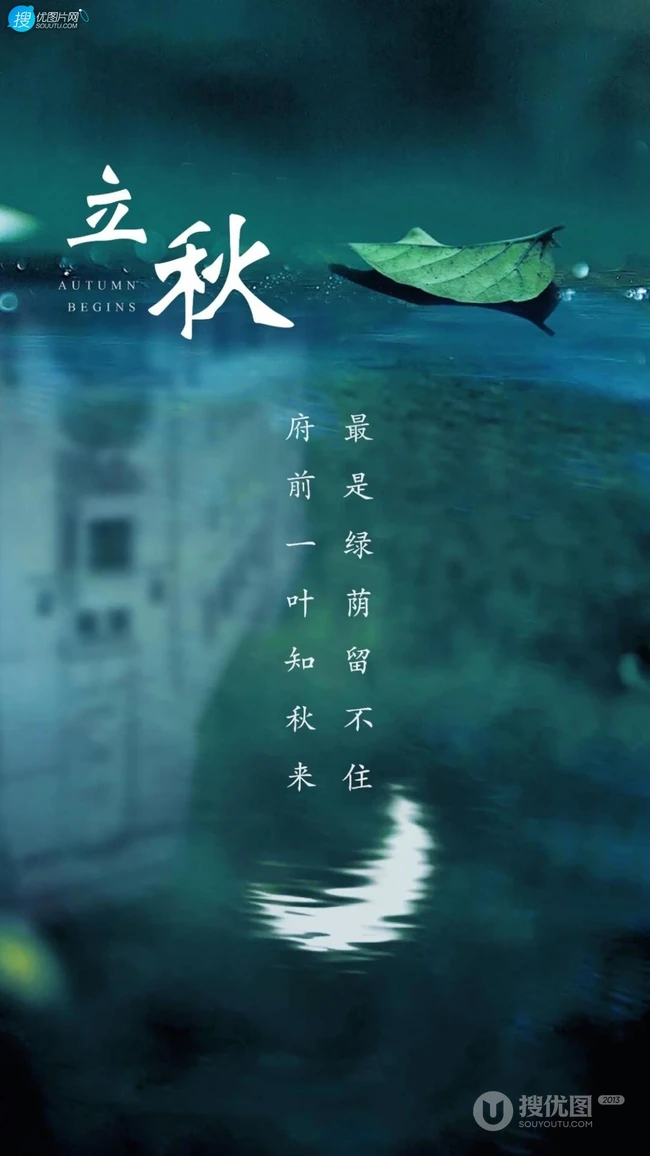 夏意悠未尽，忽觉秋已来！树叶，落叶，枯叶为背景的唯美立秋节气手机壁纸