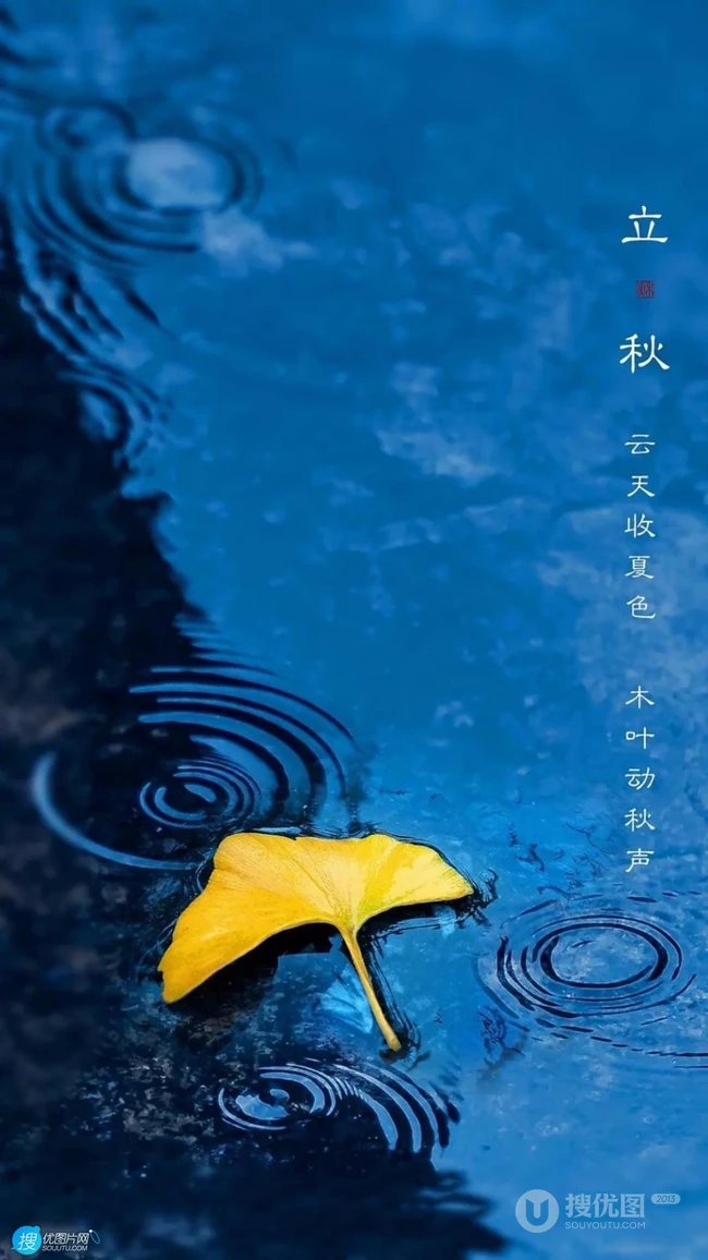 夏意悠未尽，忽觉秋已来！树叶，落叶，枯叶为背景的唯美立秋节气手机壁纸