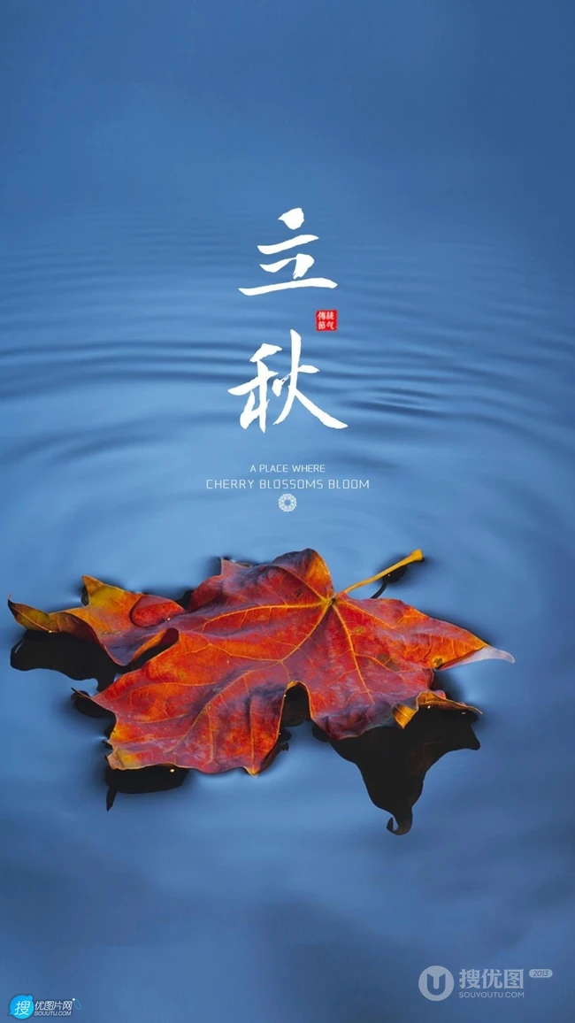 夏意悠未尽，忽觉秋已来！树叶，落叶，枯叶为背景的唯美立秋节气手机壁纸