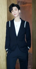 罗云熙帅气机长小西服居家写真照片