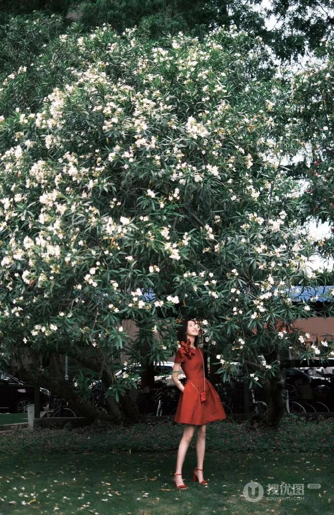 陈都灵气质花边红色连衣裙装扮，园中漫步，悠然赏花户外写真美照