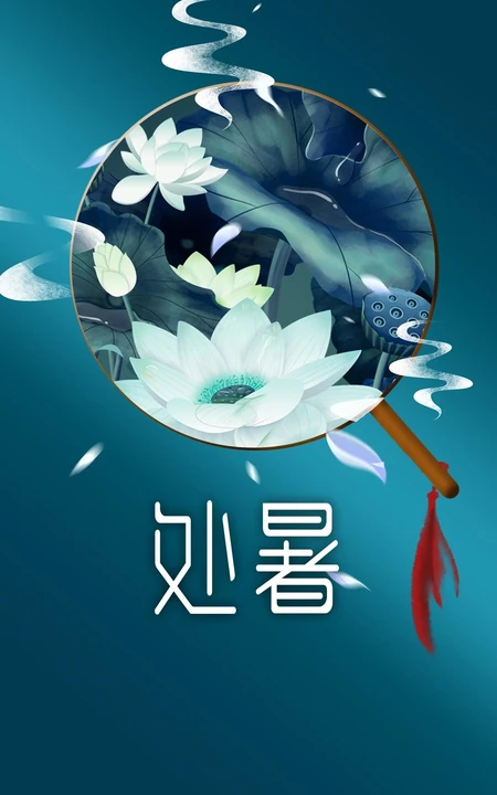 面面湖光面面风，可人最是白芙蓉，以莲花荷花为背景的处暑节气手机壁纸图片
