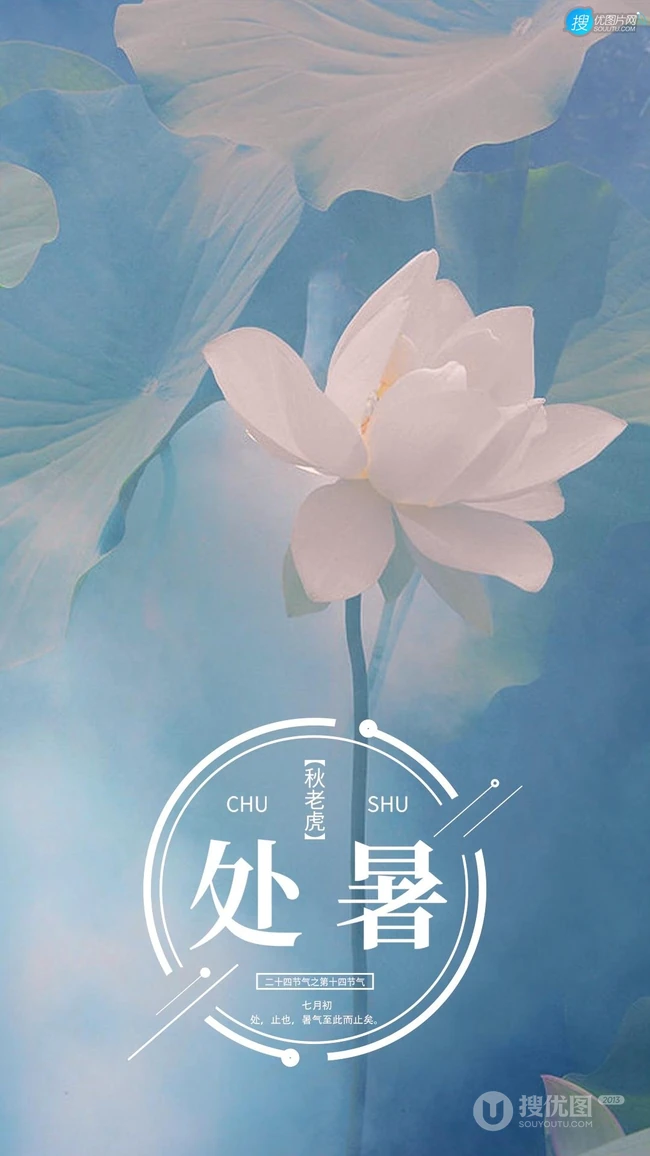 面面湖光面面风，可人最是白芙蓉，以莲花荷花为背景的处暑节气手机壁纸图片
