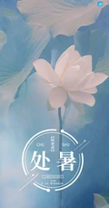 面面湖光面面风，可人最是白芙蓉，以莲花荷花为背景的处暑节气手机壁纸图片