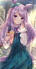 一如既往的优雅，拟人化萌娘动画《赛马娘》人物目白麦昆精选高清插画图集