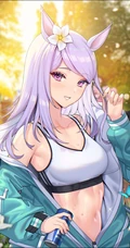 一如既往的优雅，拟人化萌娘动画《赛马娘》人物目白麦昆精选高清插画图集