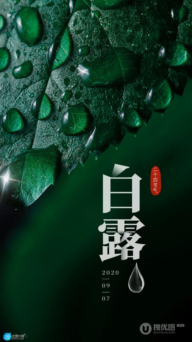 晶莹的露水，露珠，青青的绿叶，白露节气手机壁纸图片