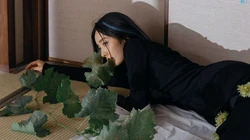 戴眼镜的杨幂别有一番韵味榻榻米清冷静谧复古写真壁纸图片