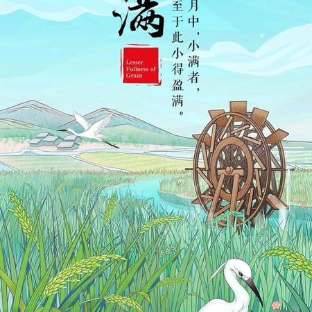 小满节气，清新麦田文字唯美意境图片