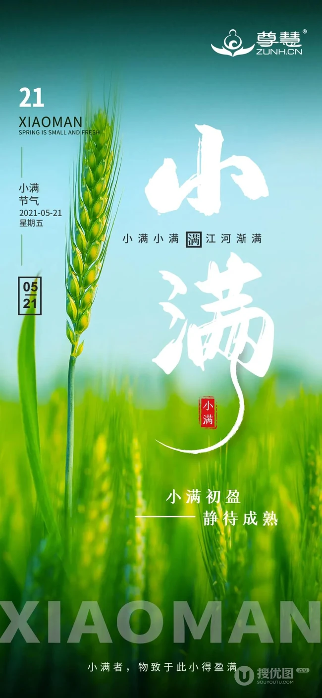 小满节气，清新麦田文字唯美意境图片 第2张