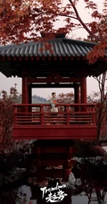 美丽翩然入画，蒋欣一袭国风穿搭游园写真登杂志图片