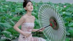 荷叶圆圆，少女甜甜，甜美可人清新养眼美女古典韵味十足荷塘边写真壁纸