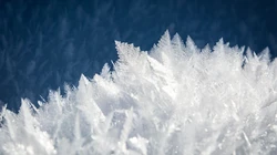 晶莹的雪花，冰晶唯美壁纸图片