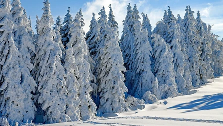 白雪皑皑的极寒天气，雪山，雪林唯美景色壁纸图片